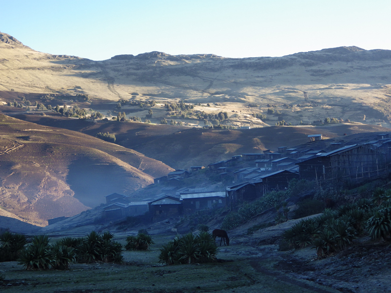 2013-11-27 07-05-02 - IMGP1080