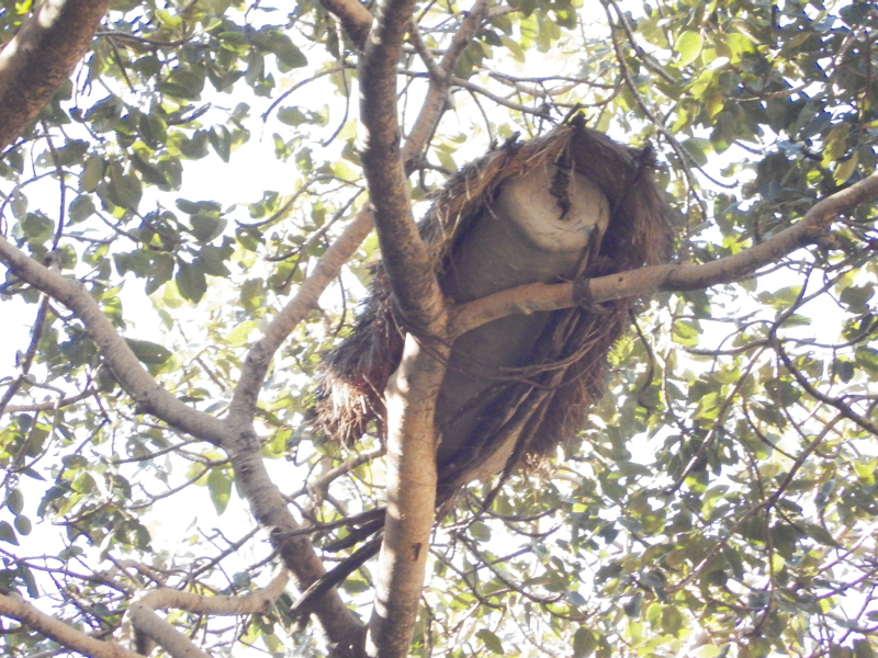 2013-11-29 09-07-23 - IMGP1134