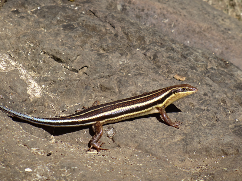 2013-11-29 10-11-47 - DSC01089