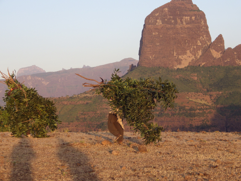 2013-11-29 17-41-39 - IMGP1177