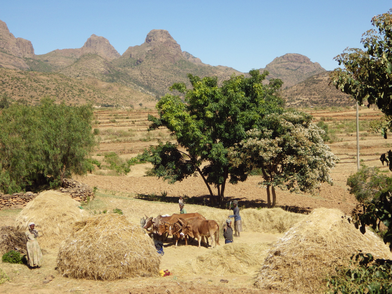 2013-12-02 10-25-47 - IMGP1340