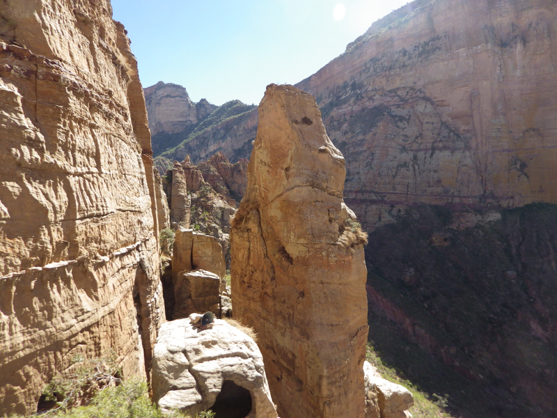 2013-12-04 10-08-19 - IMGP1529