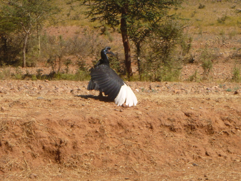 2013-12-04 12-16-07 - P1050595