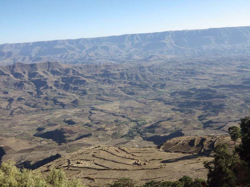 2013-12-06 16-29-13 - IMGP1763