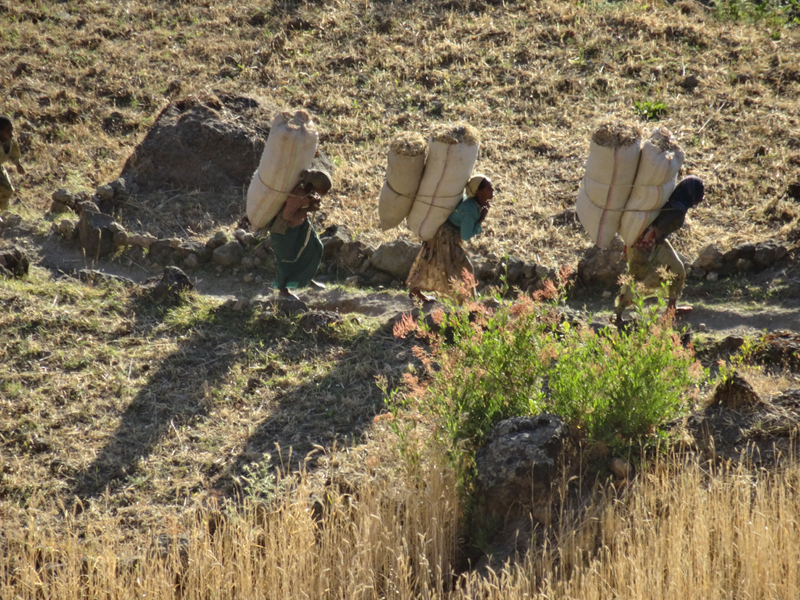 2013-12-06 17-12-23 - DSC01577