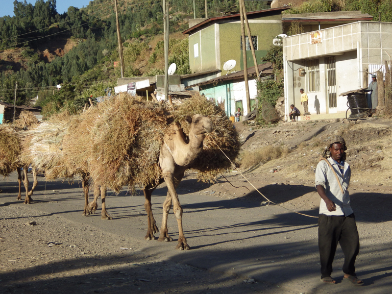 2013-12-08 16-53-48 - IMGP1890