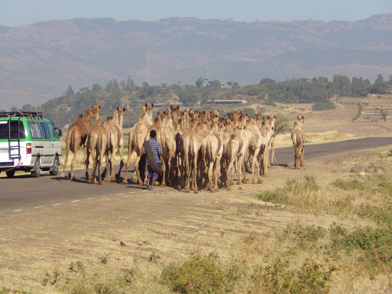 2013-12-09 08-36-45 - IMGP1901