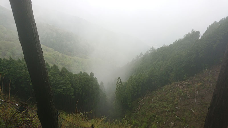 2018-04-24 14-52-13 - DSC_0308