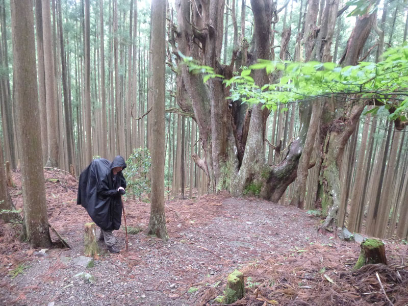 2018-04-25 05-57-05 - P1080549