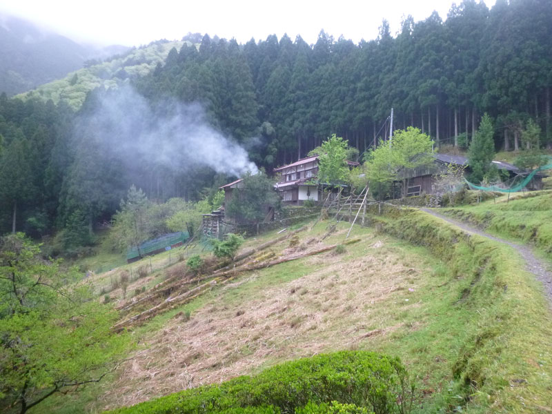 2018-04-25 06-19-42 - P1080550