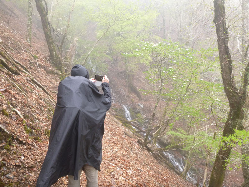 2018-04-26 03-05-36 - P1080562