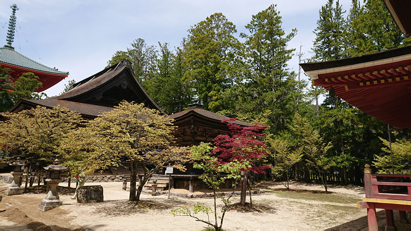 2018-04-26 11-35-46 - DSC_0364