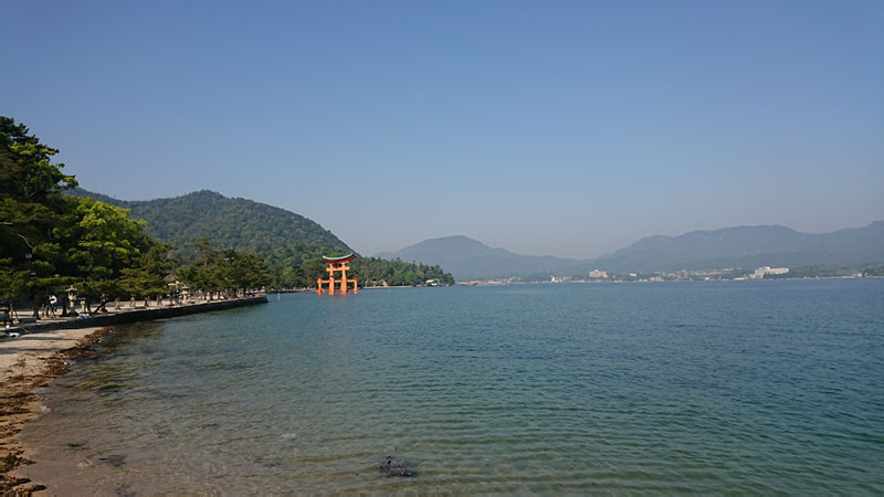 2018-04-28 08-33-19 - DSC_0423