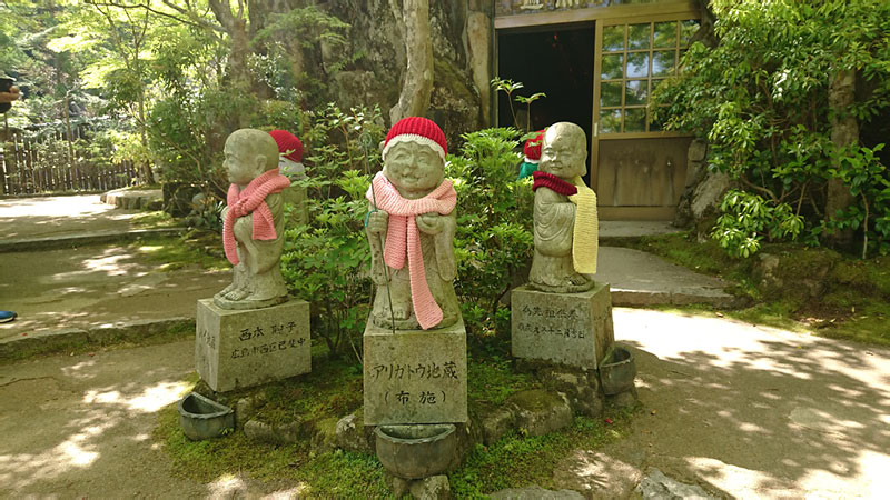 2018-04-28 10-01-30 - DSC_0442