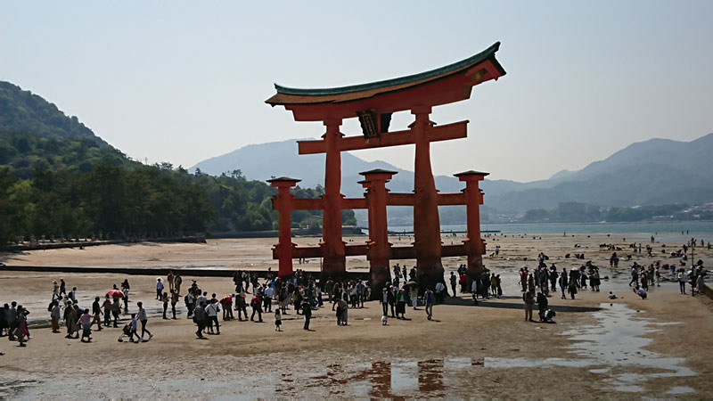 2018-04-28 14-17-55 - DSC_0467