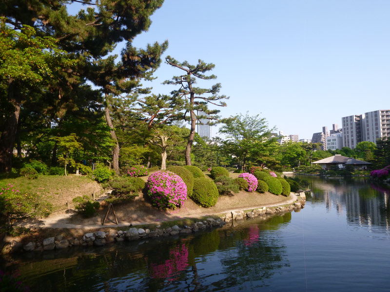 2018-04-29 06-35-50 - P1080684