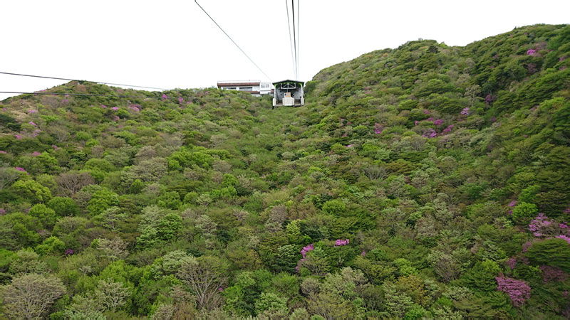 2018-04-30 09-37-02 - DSC_0505