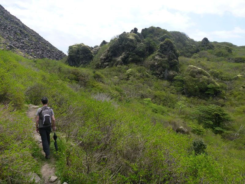 2018-05-01 01-02-51 - P1080712