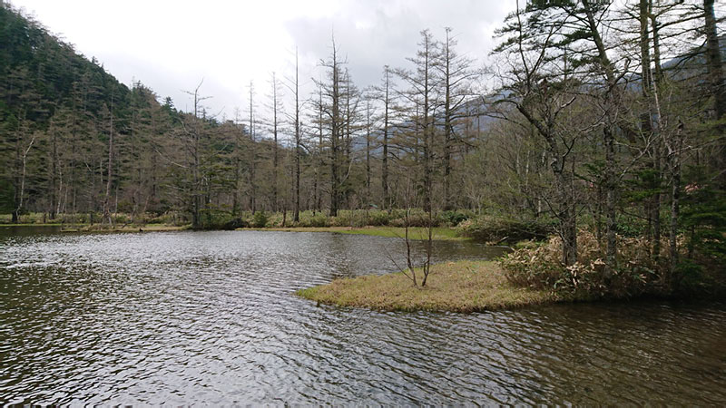 2018-05-03 12-47-52 - DSC_0631