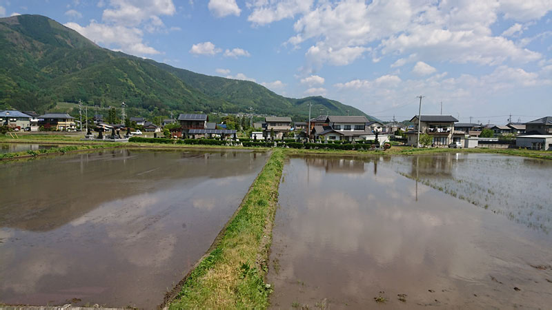 2018-05-05 09-23-41 - DSC_0654