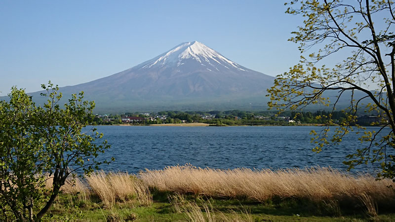 2018-05-05 16-45-26 - DSC_0681