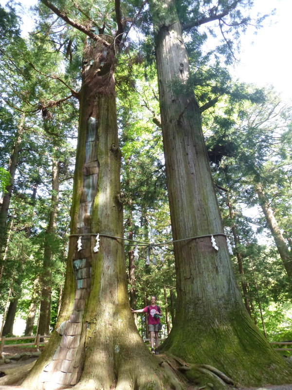 2018-05-06 22-21-16 - P1080870