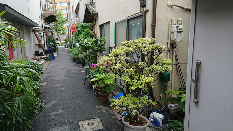 2018-05-08 11-13-09 - DSC_0725