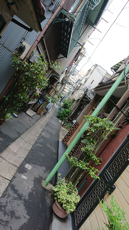 2018-05-08 11-23-21 - DSC_0728