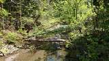 2018-04-21 12-44-58 - DSC_0215