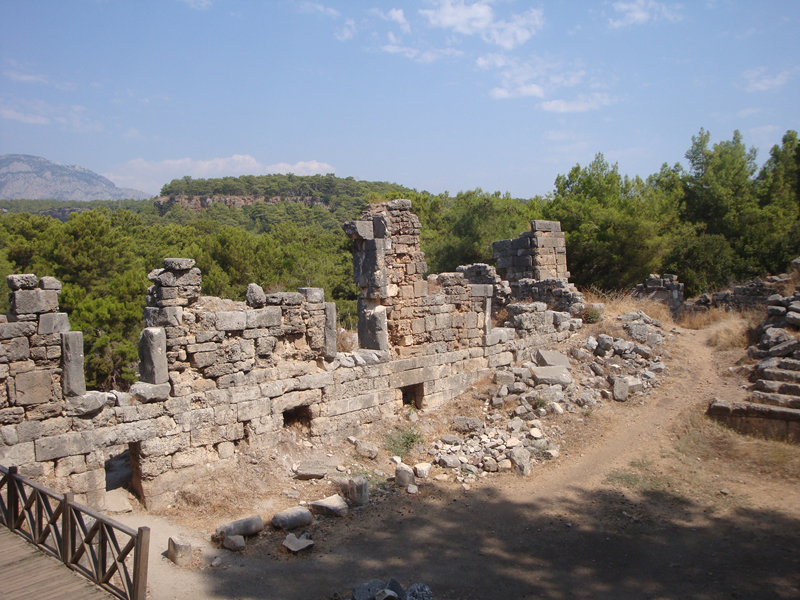 DSC01311