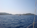 DSC01354