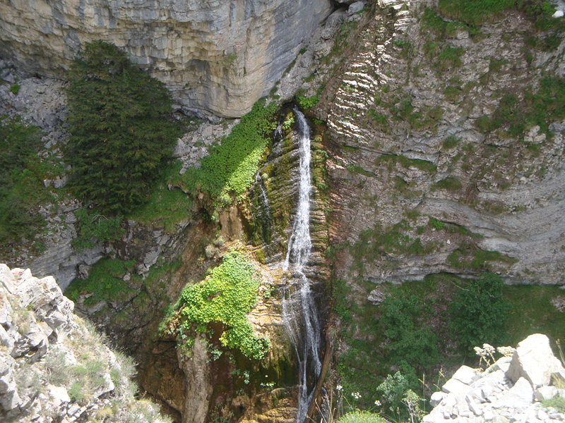 DSC00994