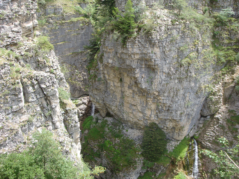 DSC00996
