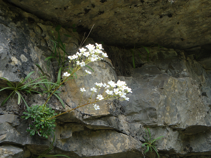 DSC01001