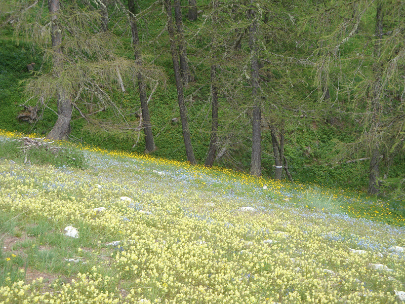 DSC01012