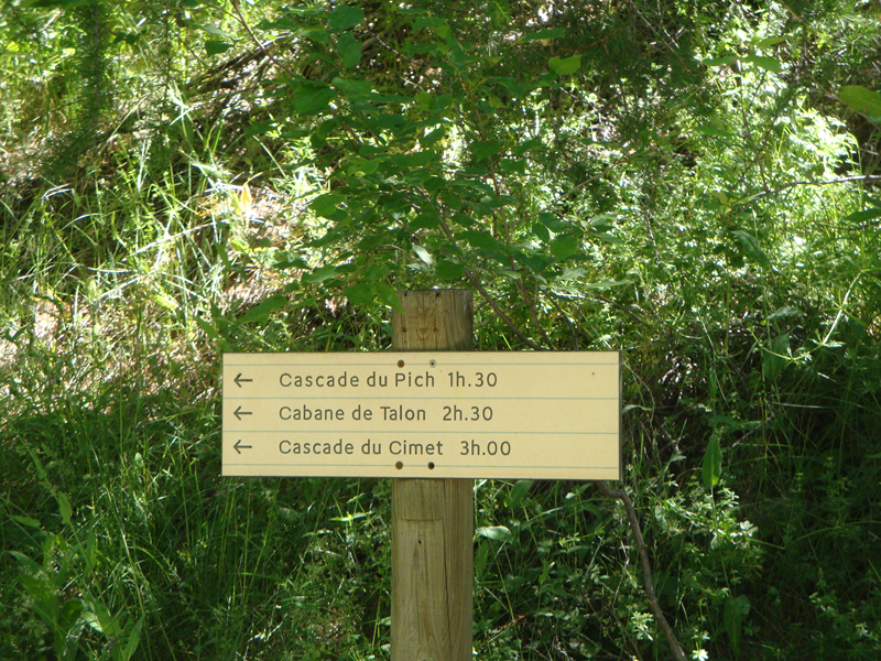 DSC01017