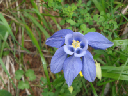 DSC01002