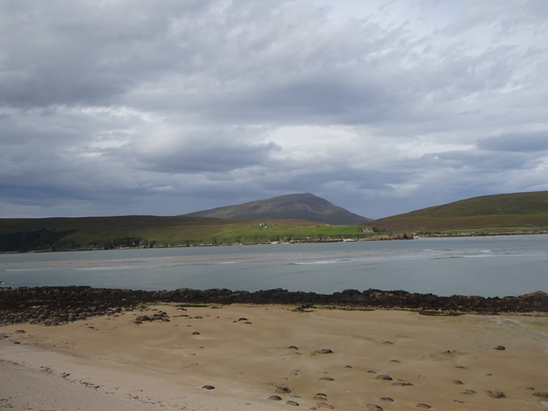 DSC01800