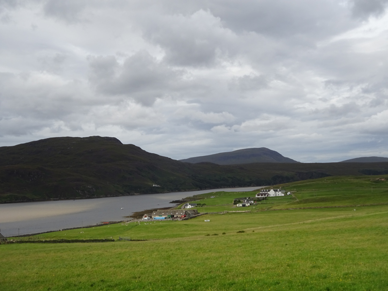 DSC01809