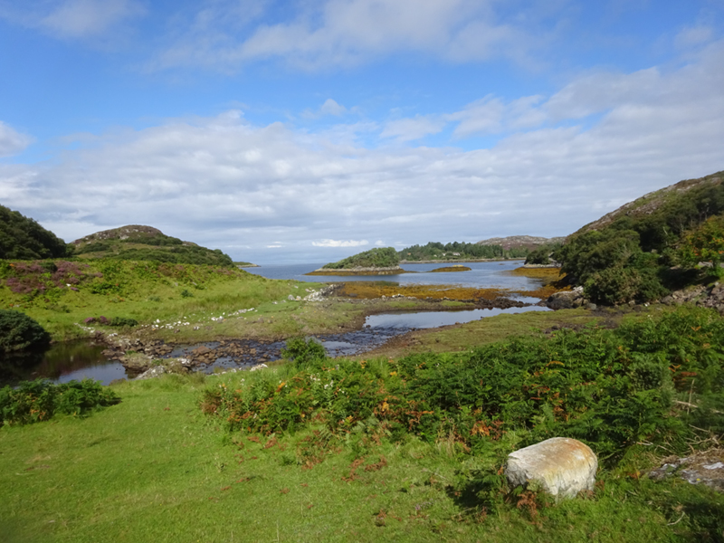 DSC01837
