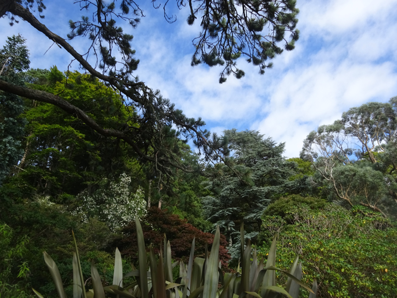 DSC01859