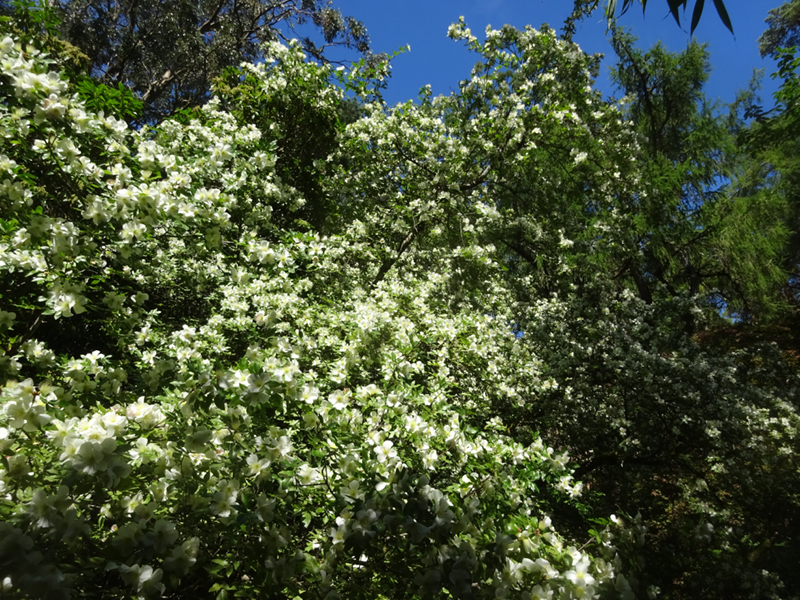 DSC01865