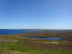 DSC01778