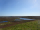 DSC01779