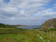 DSC01788