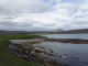 DSC01796