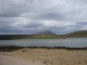 DSC01800