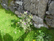 DSC01810