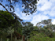 DSC01860