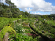 DSC01870